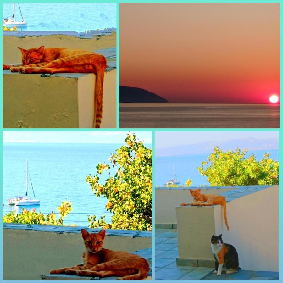 Evangelia House Sea View Apartments Agia Pelagia  Exterior foto